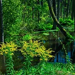 Lesna Osada Przy Suntago Park