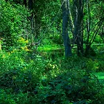 Vakantiepark Lesna Osada Przy Suntago Park