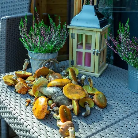 Lesna Osada Przy Suntago Park * Krzyzowka (Zyrardow)