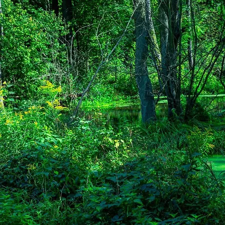 Prázdninový areál Lesna Osada Przy Suntago Park