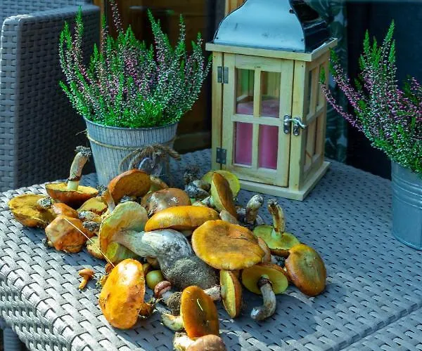 Lesna Osada Przy Suntago Park * Krzyzowka (Zyrardow)