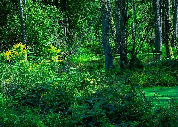 Üdülőpark Lesna Osada Przy Suntago Park